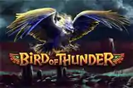 BIRD OF THUNDER?v=6.0